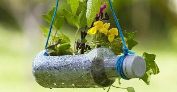 Bottled Brilliance: Creative Uses for Plastic Bottles